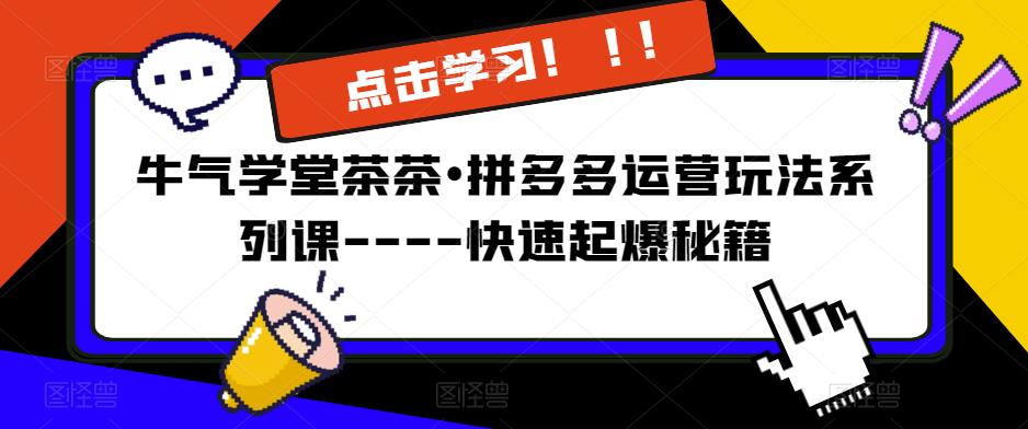 牛气学堂茶茶•拼多多运营玩法系列课—-快速起爆秘籍【更新】-电脑资源自留地