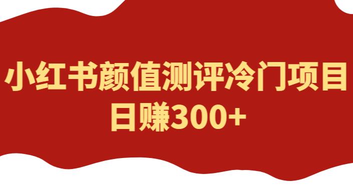 外面1980的项目，小红书颜值测评冷门项目，日赚300+【揭秘】-电脑资源自留地