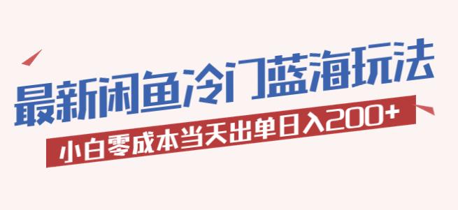 2023最新闲鱼冷门蓝海玩法，小白零成本当天出单日入200+【揭秘】-电脑资源自留地