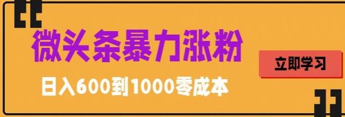 微头条暴力涨粉技巧搬运文案就能涨几万粉丝，简单0成本，日赚600【揭秘】-电脑资源自留地