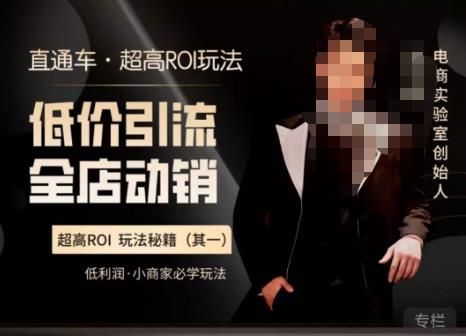 电商冰可乐·直通车·《低价引流·全店动销》，直通车·超高ROI玩法（其一）全店动销必学玩法-电脑资源自留地