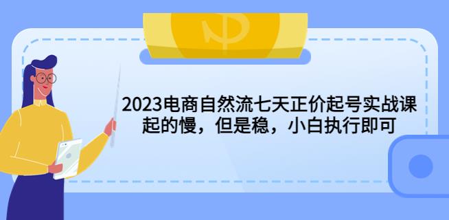 2023电商自然流七天正价起号实战课：起的慢，但是稳，小白执行即可！-电脑资源自留地