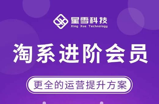 星雪·淘系进阶课程，快速提升突破技能流量瓶颈必备（更新2023年5月）-电脑资源自留地