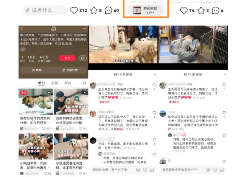 小红书蓝海类赛道：小动物打赏与购买变现副业项目，一条龙玩法分享给你！-电脑资源自留地