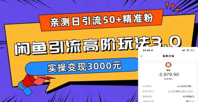 亲测日引50+精准粉，闲鱼引流高阶玩法3.0，实操变现3000元【揭秘】-电脑资源自留地