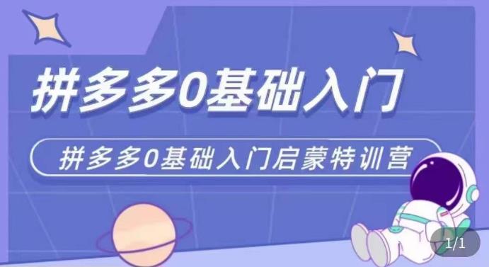 拼多多运营0-1实操特训营，拼多多0基础入门，从基础到进阶的可实操玩法-电脑资源自留地
