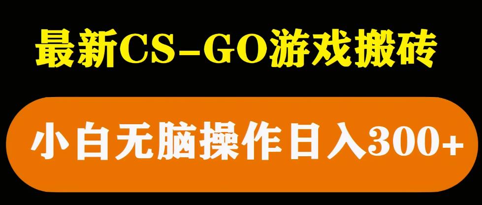 最新csgo游戏搬砖游戏，无需挂机小白无脑也能日入300+-电脑资源自留地