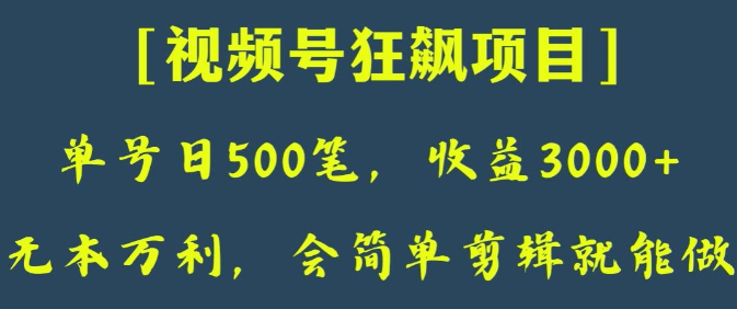 日收款500笔，纯利润3000+，视频号狂飙项目，会简单剪辑就能做【揭秘】-电脑资源自留地
