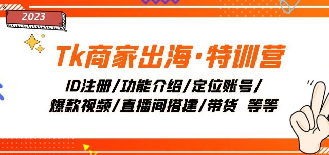 Tk商家出海·特训营：ID注册/功能介绍/定位账号/爆款视频/直播间搭建/带货-电脑资源自留地