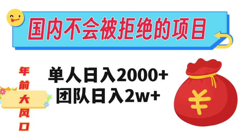 在国内不怕被拒绝的项目，单人日入2000，团队日入20000+【揭秘】-电脑资源自留地