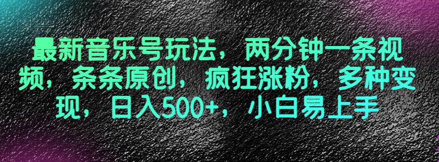 最新音乐号玩法，两分钟一条视频，条条原创，疯狂涨粉，多种变现，日入500+，小白易上手【揭秘】-电脑资源自留地
