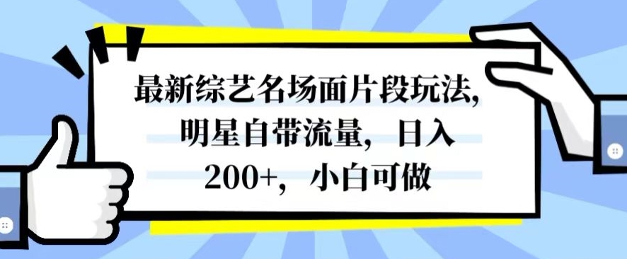 最新综艺名场面片段玩法，明星自带流量，日入200+，小白可做【揭秘】-电脑资源自留地