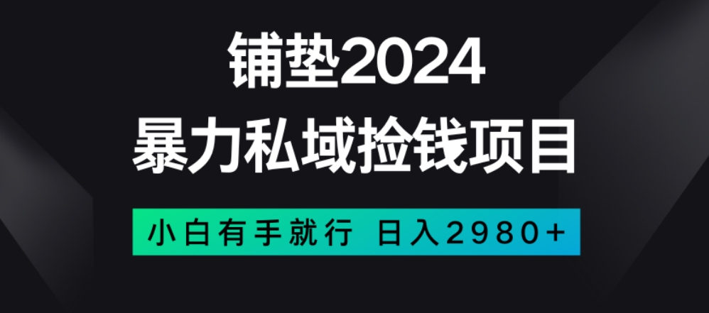暴力私域捡钱项目，小白无脑操作，日入2980【揭秘】-电脑资源自留地
