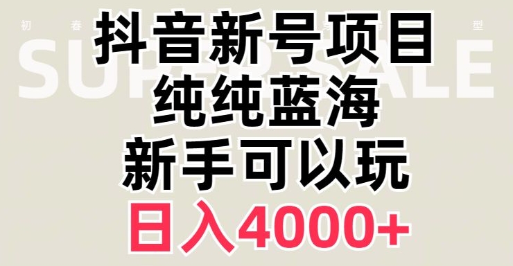 抖音蓝海赛道，必须是新账号，日入4000+【揭秘】-电脑资源自留地