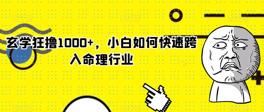 玄学狂撸1000+，小白如何快速跨入命理行业【揭秘】-电脑资源自留地