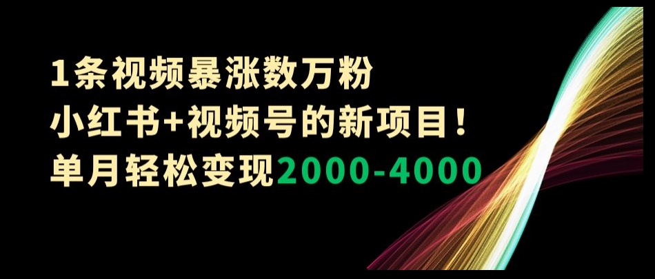 1条视频暴涨数万粉–小红书+视频号的新项目！单月轻松变现2000-4000【揭秘】-电脑资源自留地