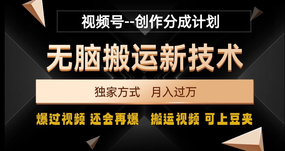 视频号无脑搬运新技术，破原创壕流量，独家方式，爆过视频，还会再爆【揭秘】-电脑资源自留地