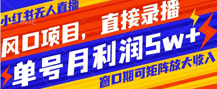 风口项目，小红书无人直播带货，直接录播，可矩阵，月入5w+【揭秘】-电脑资源自留地