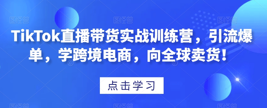 TikTok直播带货实战训练营，引流爆单，学跨境电商，向全球卖货！-电脑资源自留地