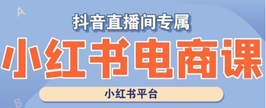 小红书电商高级运营课程，实操教学+案例分析-电脑资源自留地