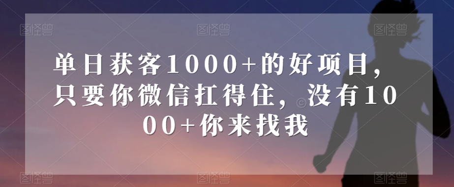 单日获客1000+的好项目，只要你微信扛得住，没有1000+你来找我【揭秘】-电脑资源自留地