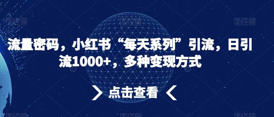 流量密码，小红书“每天系列”引流，日引流1000+，多种变现方式【揭秘】-电脑资源自留地