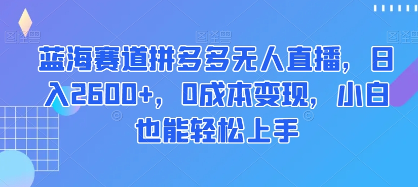 蓝海赛道拼多多无人直播，日入2600+，0成本变现，小白也能轻松上手【揭秘】-电脑资源自留地