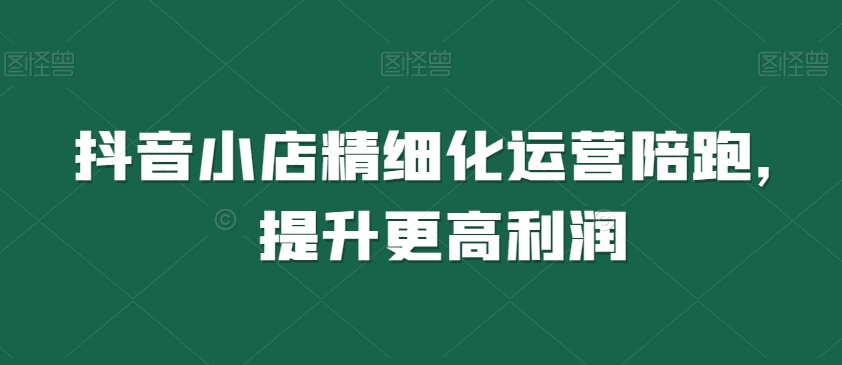 抖音小店精细化运营陪跑，提升更高利润-电脑资源自留地