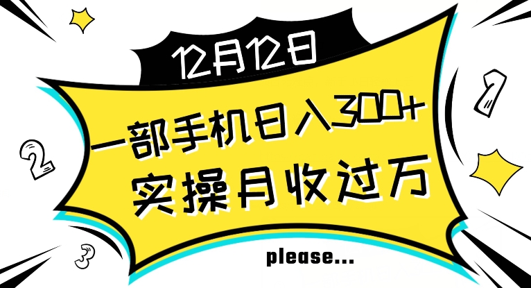 【全网变现首发】新手实操单号日入500+，渠道收益稳定，项目可批量放大【揭秘】-电脑资源自留地