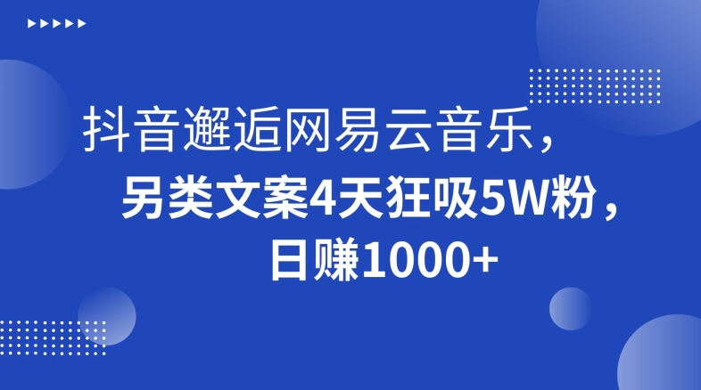 抖音邂逅网易云音乐，另类文案4天狂吸5W粉，日赚1000+【揭秘】-电脑资源自留地