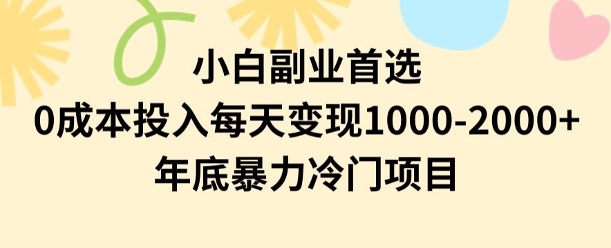 小白副业首选，0成本投入，每天变现1000-2000年底暴力冷门项目【揭秘】-电脑资源自留地