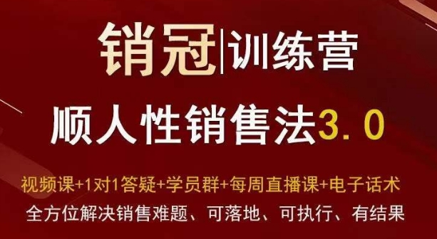 爆款！销冠训练营3.0之顺人性销售法，全方位解决销售难题、可落地、可执行、有结果-电脑资源自留地