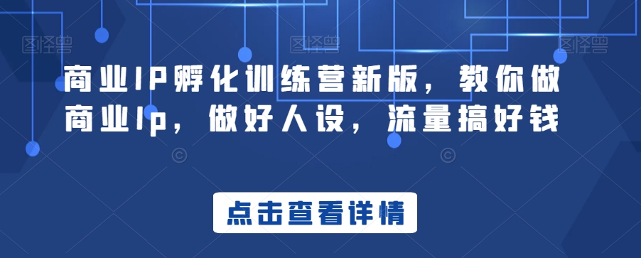 商业IP孵化训练营新版，教你做商业Ip，做好人设，流量搞好钱-电脑资源自留地