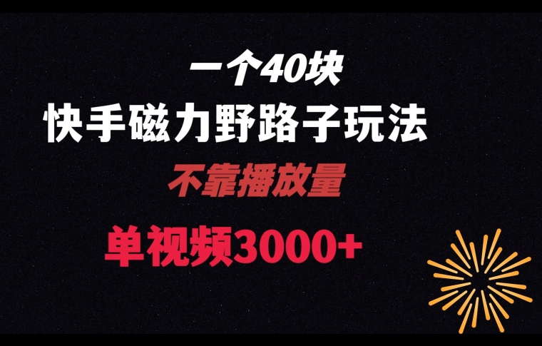 一个40块，快手联合美团磁力新玩法，无视机制野路子玩法，单视频收益4位数【揭秘】-电脑资源自留地
