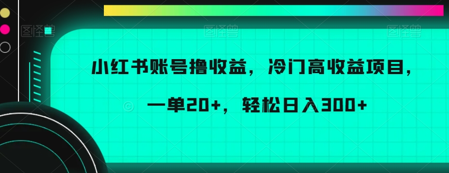 小红书账号撸收益，冷门高收益项目，一单20+，轻松日入300+【揭秘】-电脑资源自留地