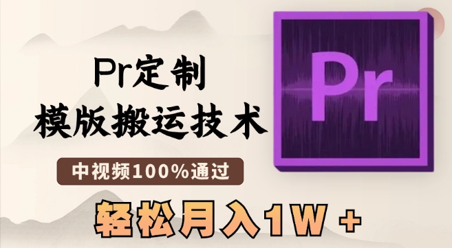 最新Pr定制模版搬运技术，中视频100%通过，几分钟一条视频，轻松月入1W＋【揭秘】-电脑资源自留地