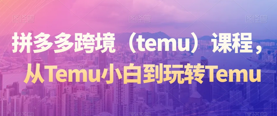 拼多多跨境（temu）课程，从Temu小白到玩转Temu-电脑资源自留地