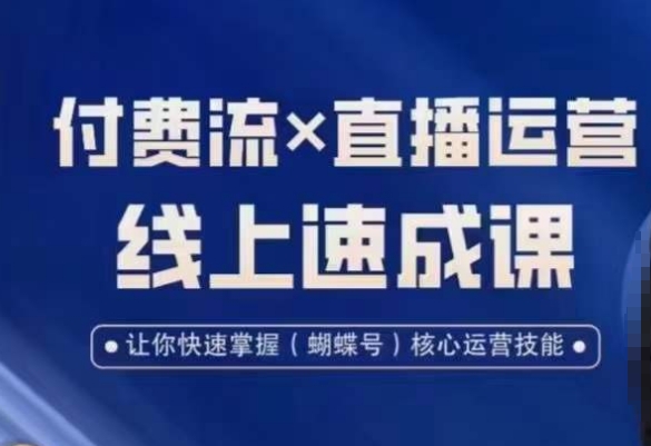 视频号付费流实操课程，付费流✖️直播运营速成课，让你快速掌握视频号核心运营技能-电脑资源自留地