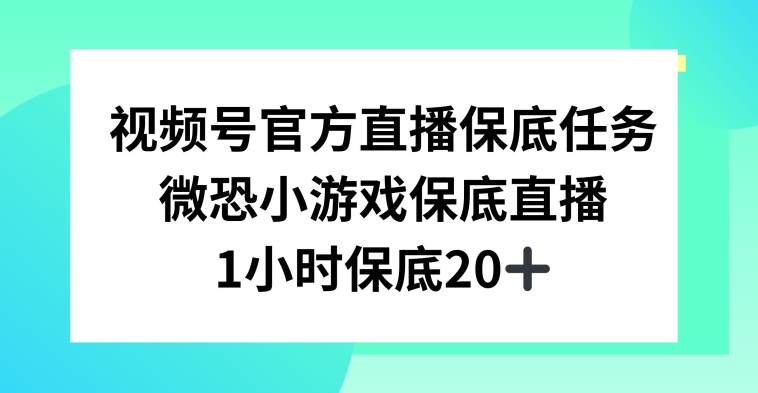 视频号直播任务，微恐小游戏，1小时20+【揭秘】-电脑资源自留地