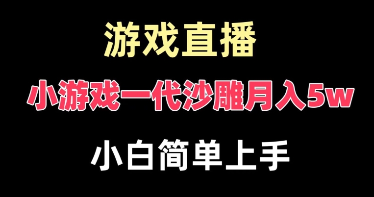 玩小游戏一代沙雕月入5w，爆裂变现，快速拿结果，高级保姆式教学【揭秘】-电脑资源自留地