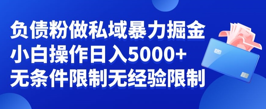 负债粉私域暴力掘金，小白操作入5000，无经验限制，无条件限制【揭秘】-电脑资源自留地