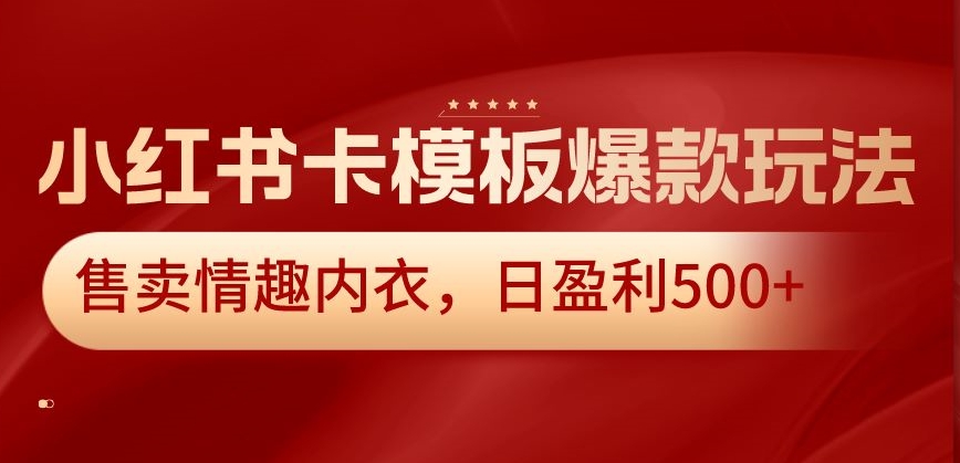 小红书卡模板爆款玩法，售卖情趣内衣，日盈利500+【揭秘】-电脑资源自留地