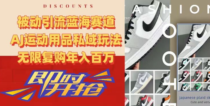 被动引流蓝海赛道，AJ运动用品私域玩法，无限复购年入百万【揭秘】-电脑资源自留地
