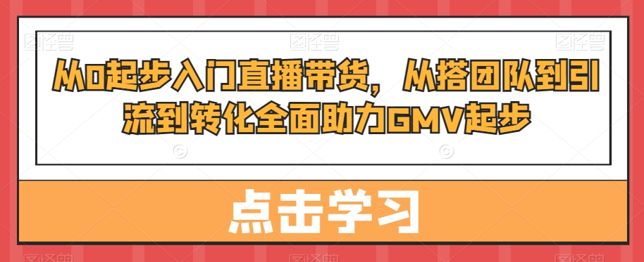从0起步入门直播带货，​从搭团队到引流到转化全面助力GMV起步-电脑资源自留地