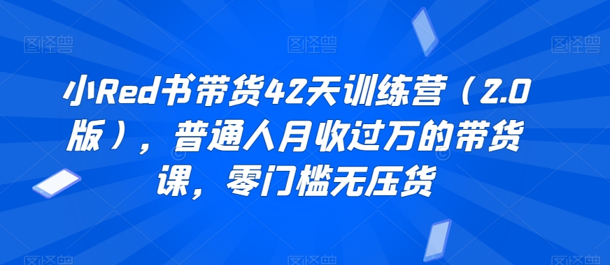 小Red书带货42天训练营（2.0版），普通人月收过万的带货课，零门槛无压货-电脑资源自留地