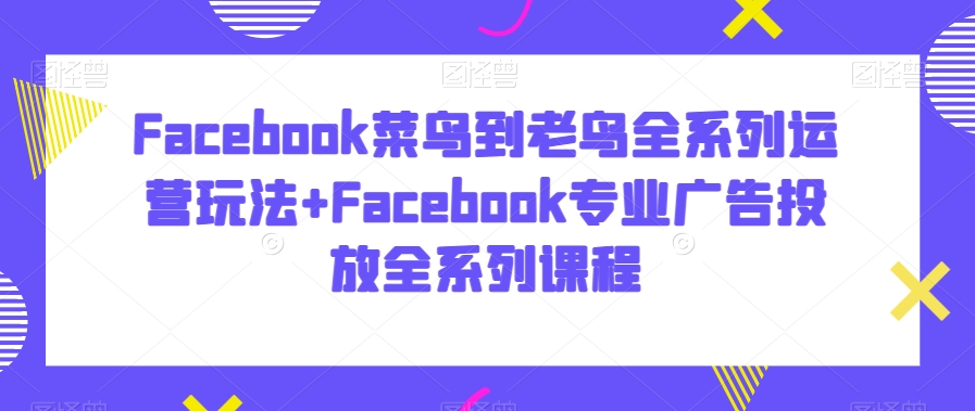 Facebook菜鸟到老鸟全系列运营玩法+Facebook专业广告投放全系列课程-电脑资源自留地
