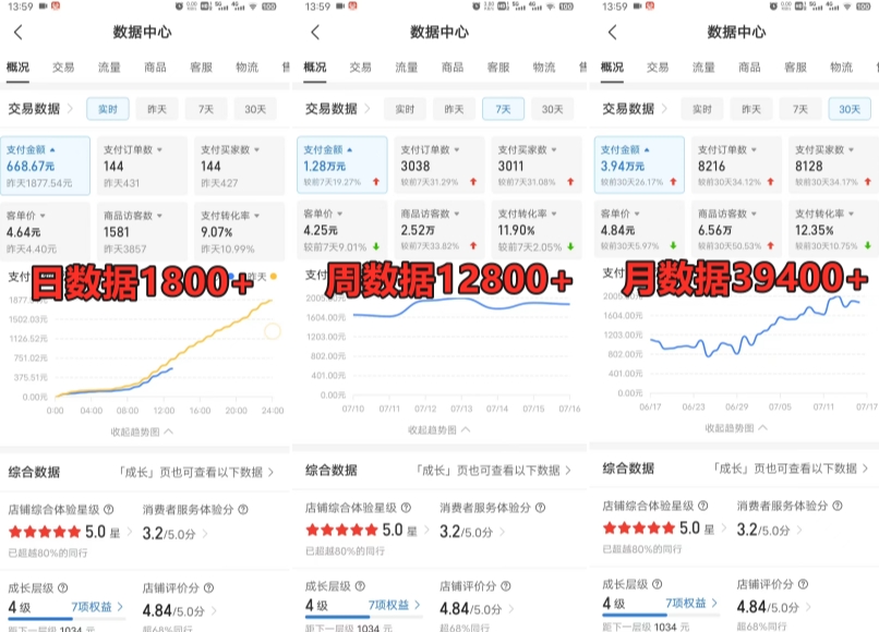 拼多多虚拟电商训练营月入30000+你也行，暴利稳定长久，副业首选-电脑资源自留地