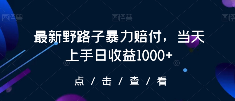 最新野路子暴力赔付，当天上手日收益1000+【仅揭秘】-电脑资源自留地