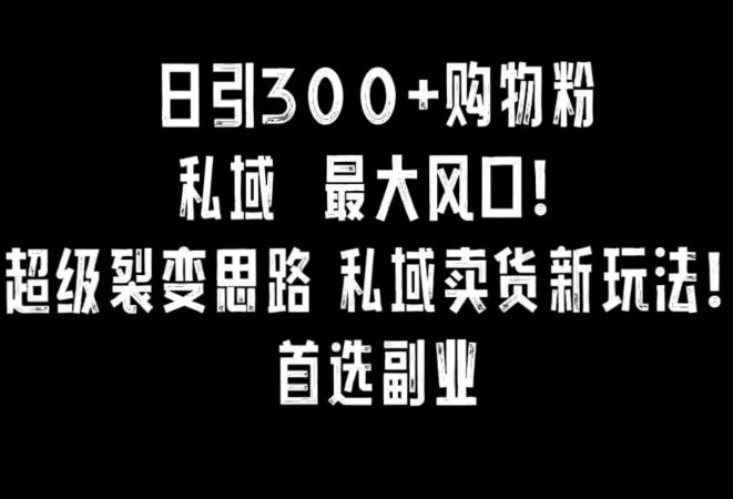 日引300+购物粉，超级裂变思路，私域卖货新玩法，小红书首选副业【揭秘】-电脑资源自留地