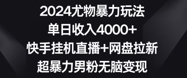 2024尤物暴力玩法，单日收入4000+，快手挂机直播+网盘拉新，超暴力男粉无脑变现【揭秘】-电脑资源自留地